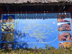 -遵化市禅林寺古银杏风景园