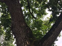 -汇龙潭