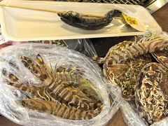 -南纪白浜Toretore市场