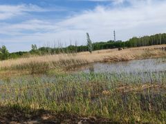 -野鸭湖国家湿地公园