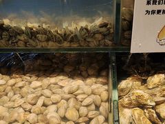 -钱小奴创意自助餐厅·原切谷饲安格斯畅吃(宁波慈溪爱琴海店)