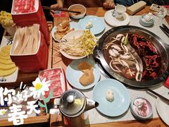 高钙羊肉-大龙燚火锅