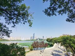 -古琴台