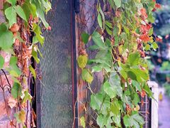 -西关84·History·Art·Cafe