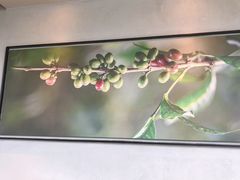 -星巴克臻选(上海长风大悦城店)