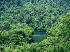 -鼎湖山风景区