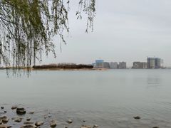 -北龙湖湿地公园