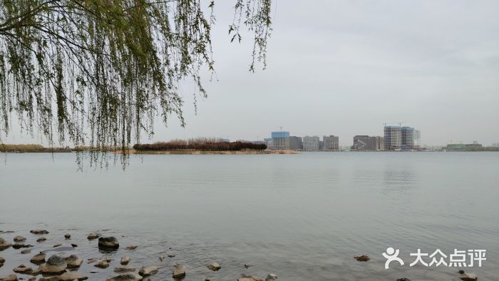 北龙湖湿地公园图片