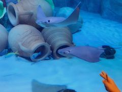 -沈阳海洋探索中心