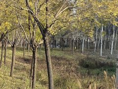 -东郊湿地公园
