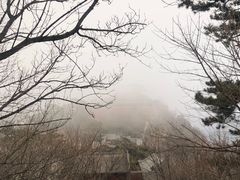 -妙峰山风景名胜区