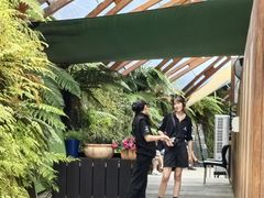 -怀托摩萤火虫洞