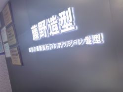 -藤野造型