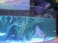 -沈阳海洋探索中心