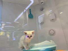 -龟与熊猫宠物公园(南坪店)