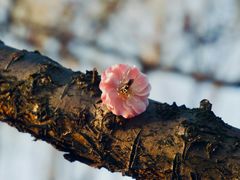 -广富林郊野公园