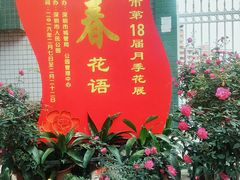 -人民公园(罗湖区)