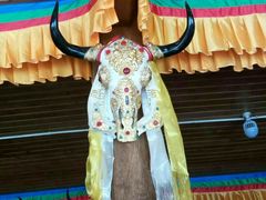 -银同牦牛肉火锅