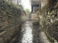 -王万妈卤猪脚(青岩交通路)