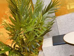 -SENTEA森茶(麦地丽日店)