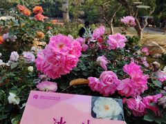 -人民公园(罗湖区)