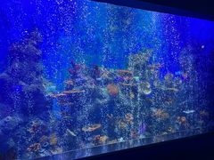 -石家庄海洋公园