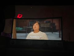 -枫花园汽车电影院(朝阳公园店)