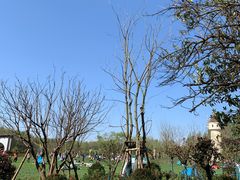 -东平国家森林公园