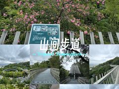 -福道