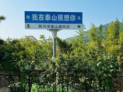 -蘇河湾·新鲁菜·泰山宴(泰山店)