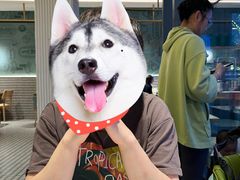 -陶兰居·香港饭店·海鲜大排档(圆融时代广场店)