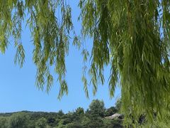 -北京西山国家森林公园