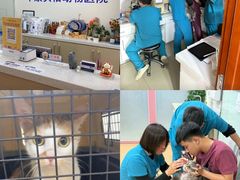 -宠颐生中康贝怡动物医院