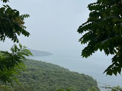 -棒棰岛宾馆景区