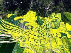 -扁都口生态休闲旅游区