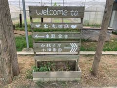 -前小桔亲子创意农场·草莓采摘·露营烧烤