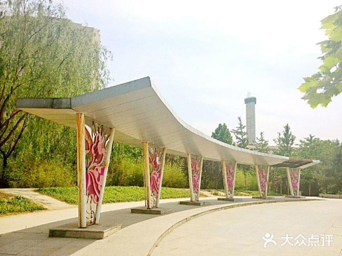 华汇紫薇公园图片