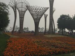 -武清南湖绿博园