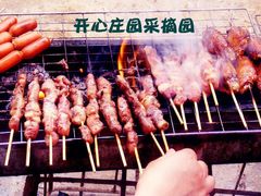 -开心庄园