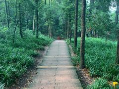 -青城山