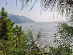 -北岐滩涂