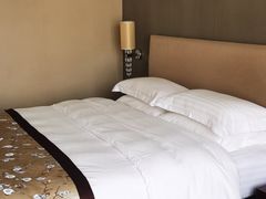 -丽逸酒店