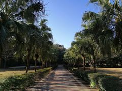 -南国桃园旅游度假区