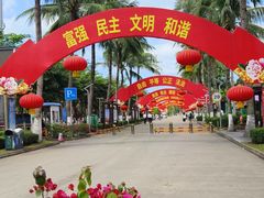 -万绿园