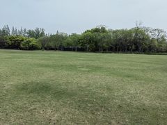 -上海滨江森林公园