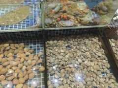 -天盛海鲜烧烤大排档·本地小海鲜·牟平腿穗子(幸福店)