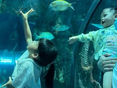 -乐从天佑城海洋馆