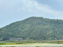 -腾冲北海湿地
