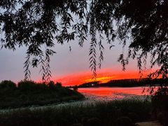 -丁香湖公园