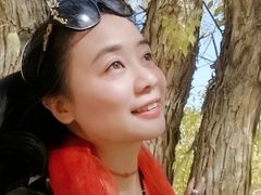 -金塔沙漠胡杨林景区